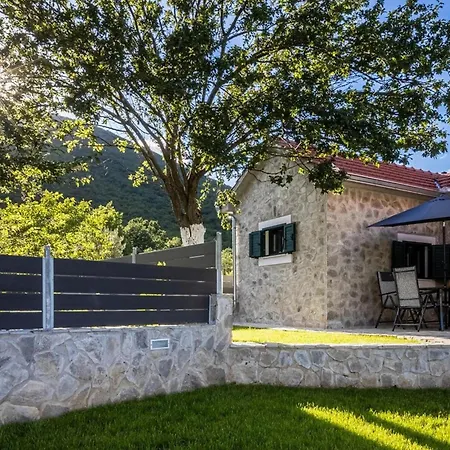 Ivandvor * Sinj